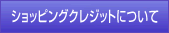 �V���b�s���O�N���W�b�g�ɂ���